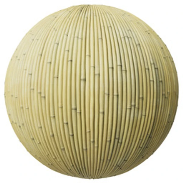 Bamboo 002B