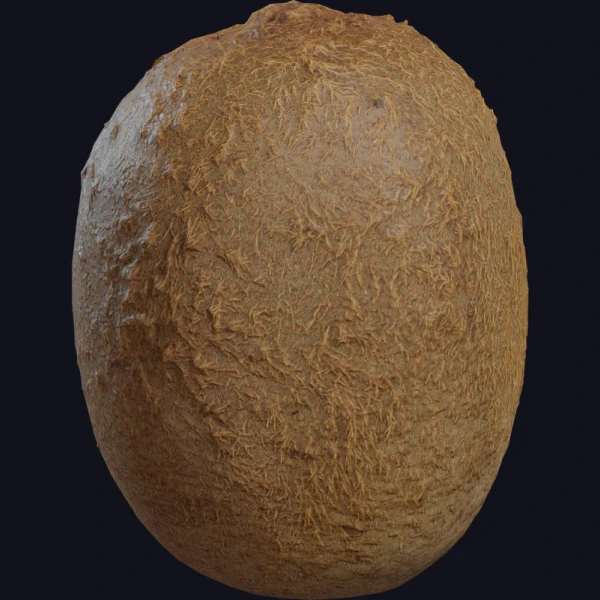 Food Kiwi 01 - 3D Models - 3D model - from Poly Haven