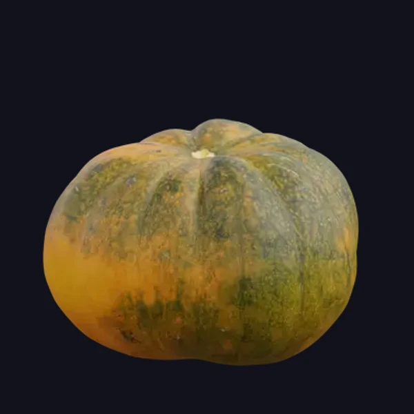 Pumpkin 5 - 3D Models - 3D model - from Share Textures