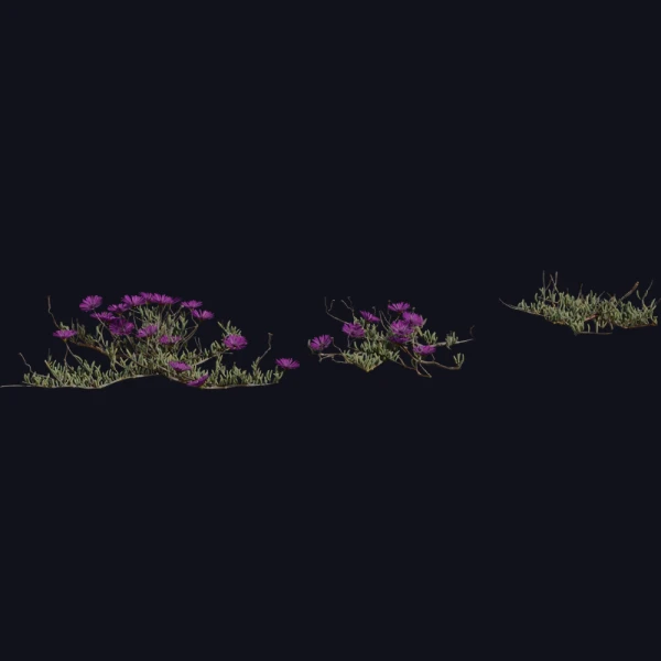 Leipoldtia Schultzei - 3D Models - 3D model - from Poly Haven