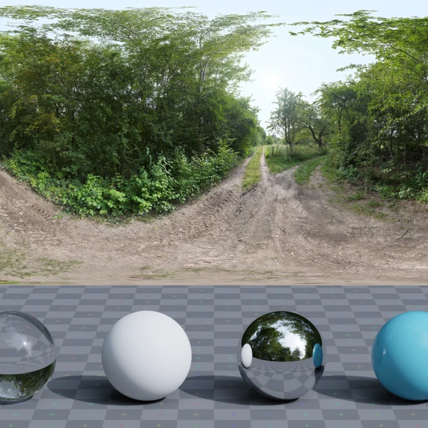Lush Dirt Path - HDRI map - from Poly Haven