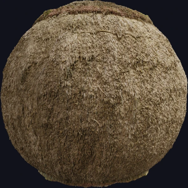 Reed Roof 04