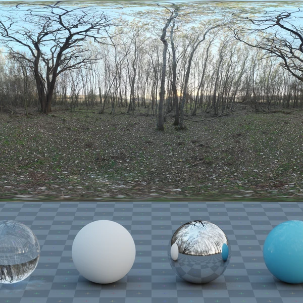 Forest Grove - HDRI map - from Poly Haven