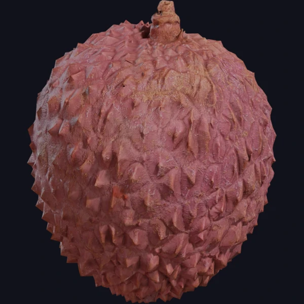 Food Lychee 01 - 3D Models - 3D model - from Poly Haven