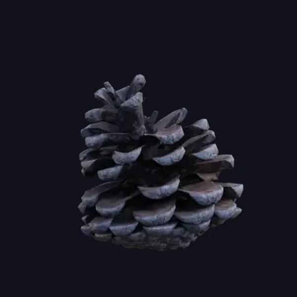 Pinecone 3