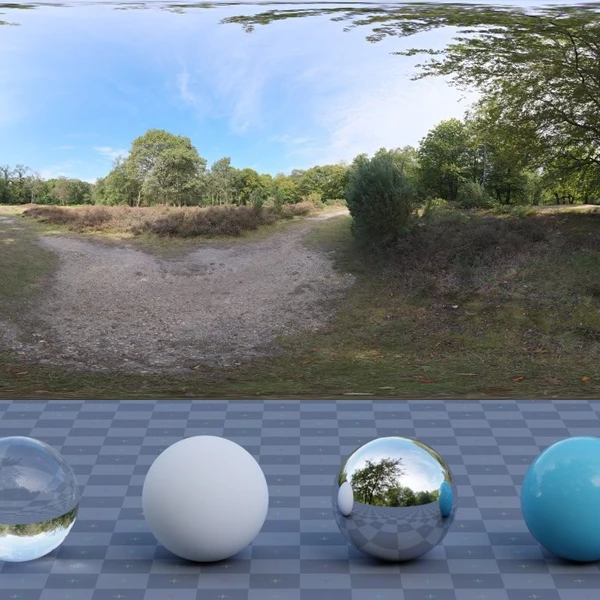 Epping Forest 02 - HDRI map - from Poly Haven