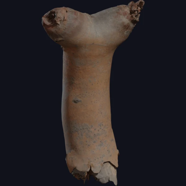 Dead Quiver Branch 02