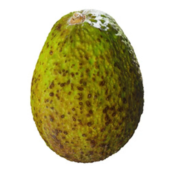 3DAvocado001