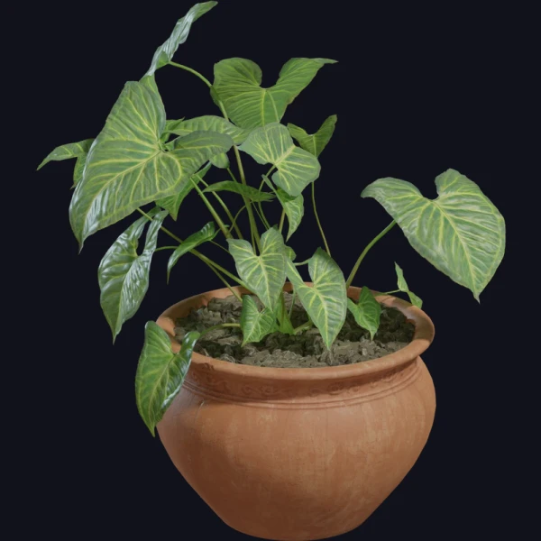 Potted Plant 02 - 3D Models - 3D model - from Poly Haven