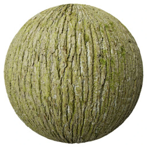 Bark 013