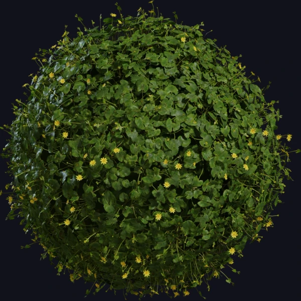 Celandine 01 - 3D Models - 3D model - from Poly Haven