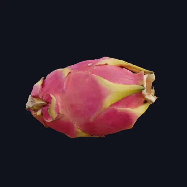 Pitaya 1 - 3D Models - 3D model - from Share Textures