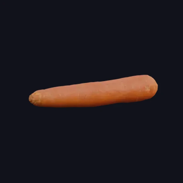 Carrot 2 - 3D Models - 3D model - from Share Textures