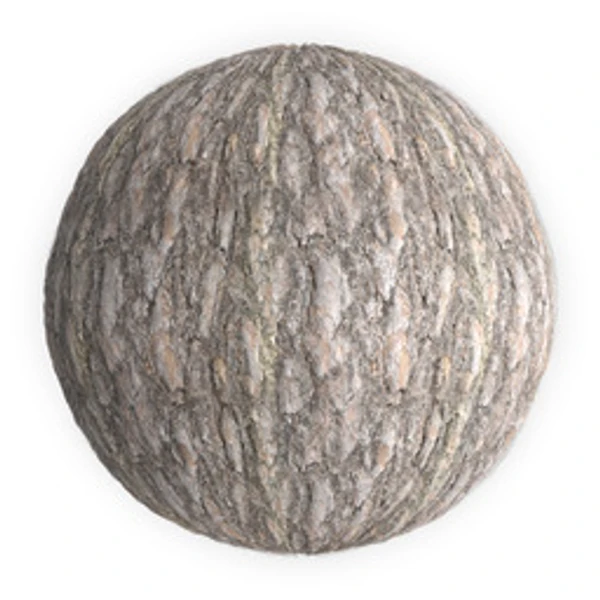 Bark 004