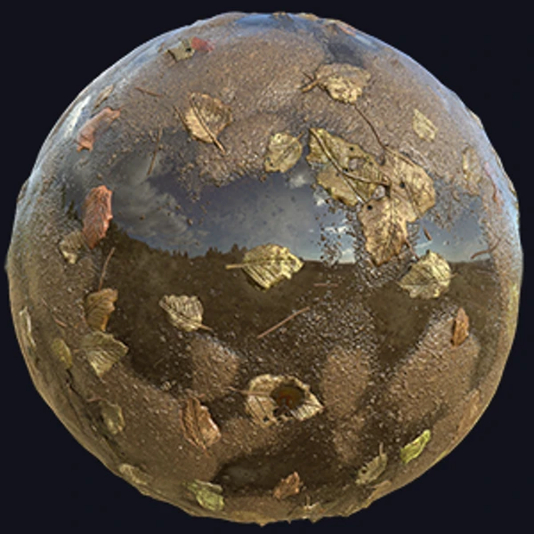 Muddy Swamp with Fallen Leaves (Ground 0019)