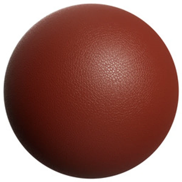 Leather 037