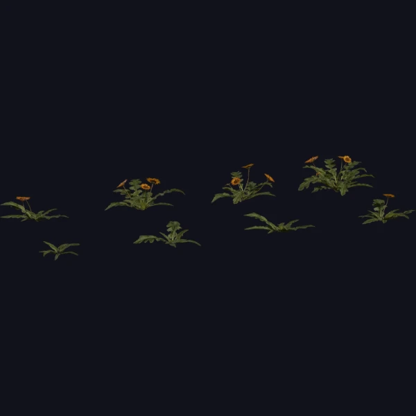 Flower Gazania - 3D Models - 3D model - from Poly Haven