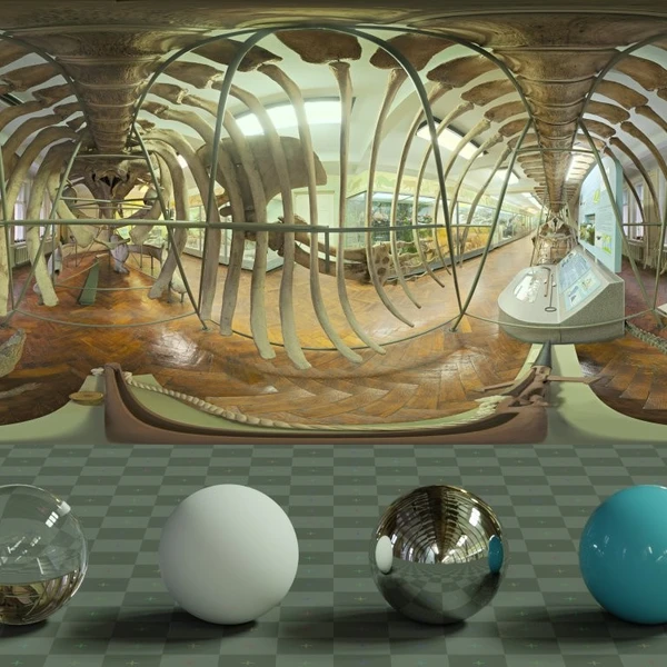 Whale Skeleton - HDRI map - from Poly Haven