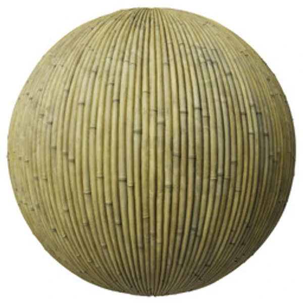 Bamboo 002C