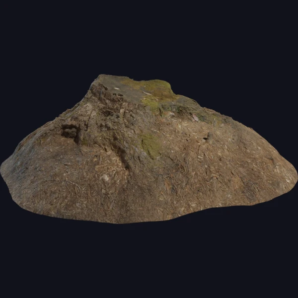 Tree Stump 02 - 3D Models - 3D model - from Poly Haven