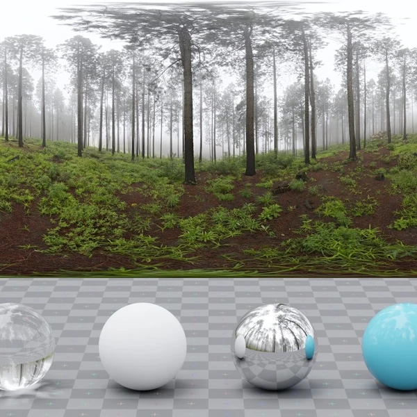 Misty Pines - HDRI map - from Poly Haven
