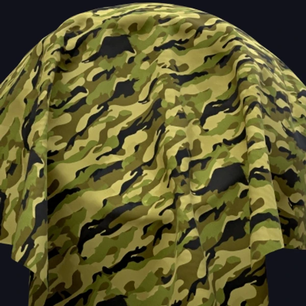Camouflage 1