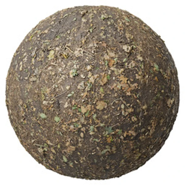 Ground 023 - PBR texture - from ambientCG
