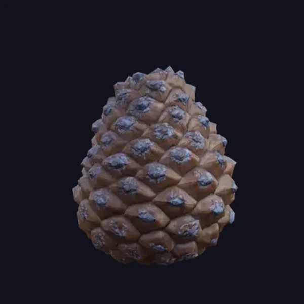 Pinecone 2