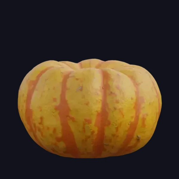 Pumpkin 4 - 3D Models - 3D model - from Share Textures