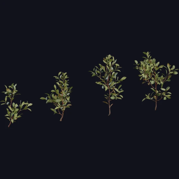 Shrub 04 - 3D Models - 3D model - from Poly Haven