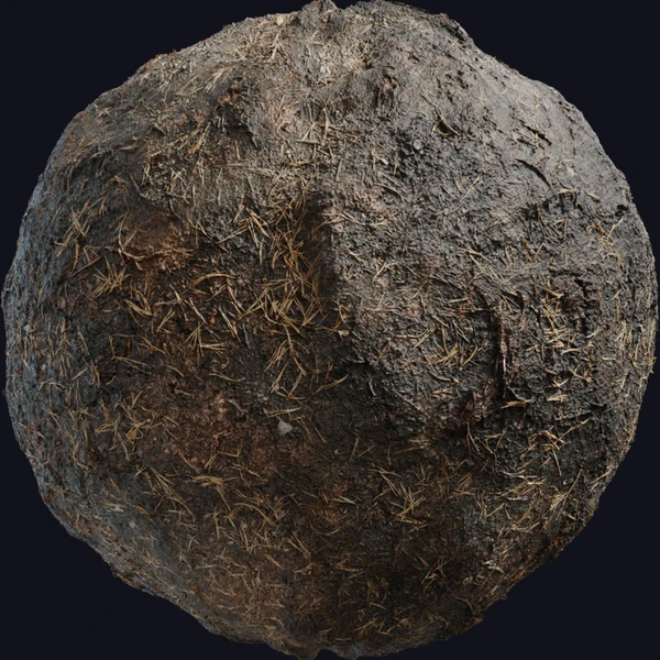 Burned Ground 01
