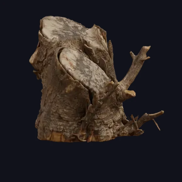 Wood Log 2 - 3D Models - 3D model - from Share Textures