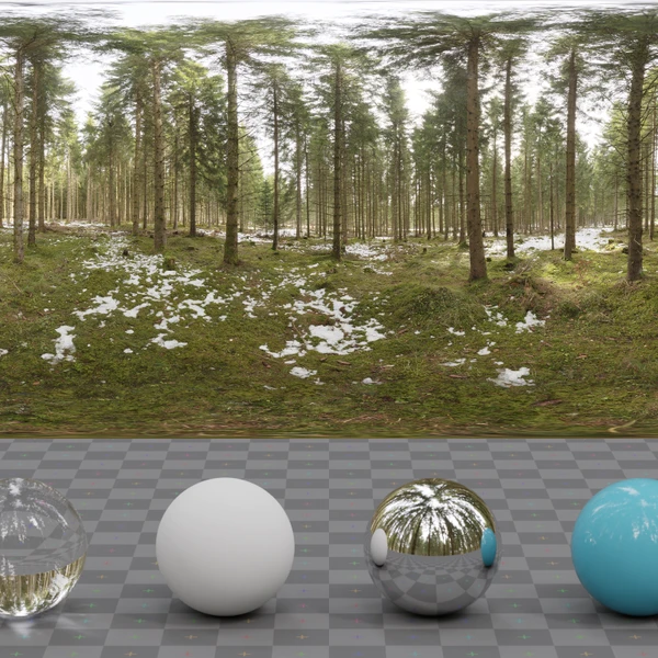 Snowy Forest - HDRI map - from Poly Haven