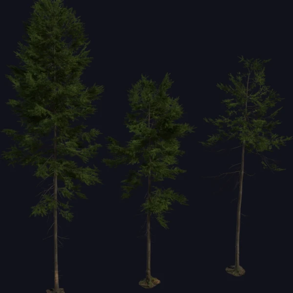 Fir Tree 01 - 3D Models - 3D model - from Poly Haven