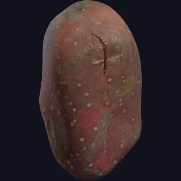Sweet Potato