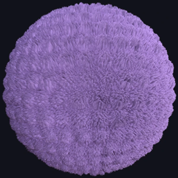 Carpet or Rug Texture (Fabric 0026)