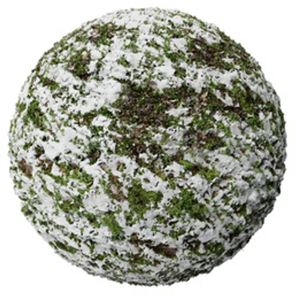 Snow 015