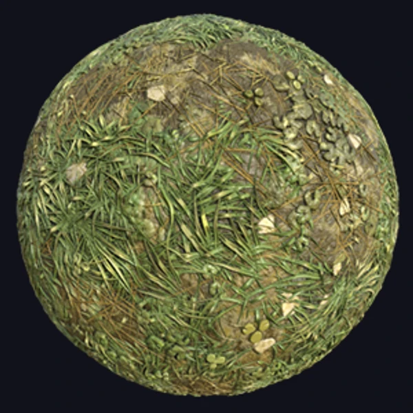 Pond Side Grassy and Muddy Land (Ground 0032)