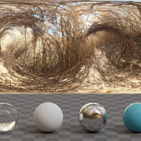 Bamboo Tunnel - HDRI map - from Poly Haven