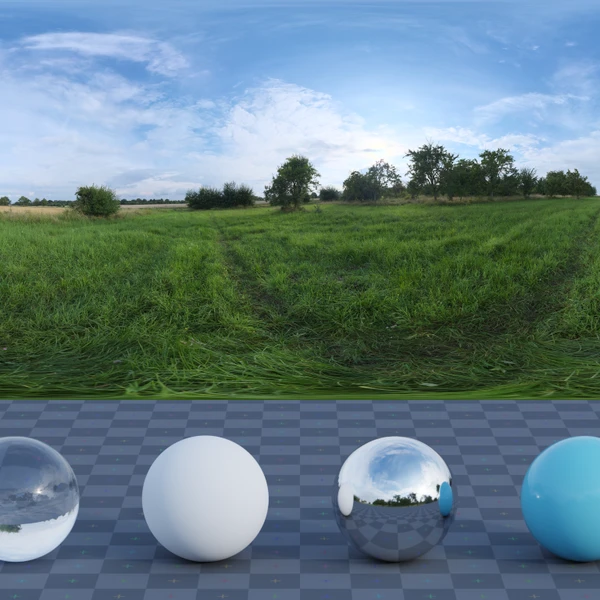 Evening Meadow - HDRI map - from Poly Haven