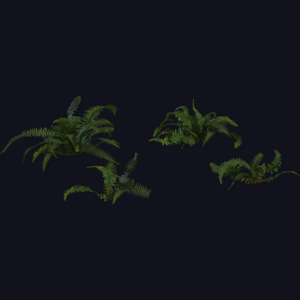 Fern 02 - 3D Models - 3D model - from Poly Haven