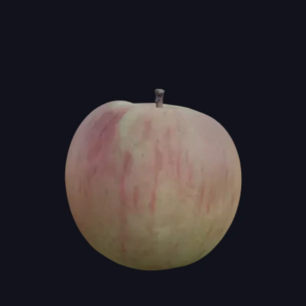 Apple 1