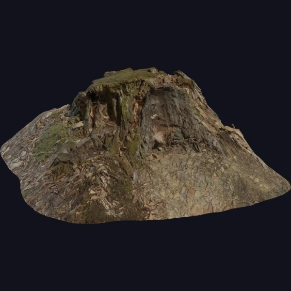 Tree Stump 01 - 3D Models - 3D model - from Poly Haven