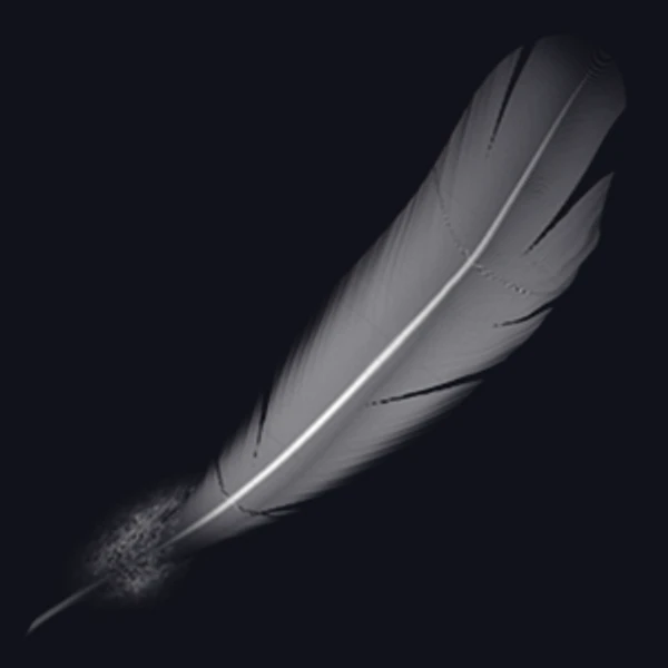 Quill Pen Made of Bird Feather Texture (Fabrics 0038)