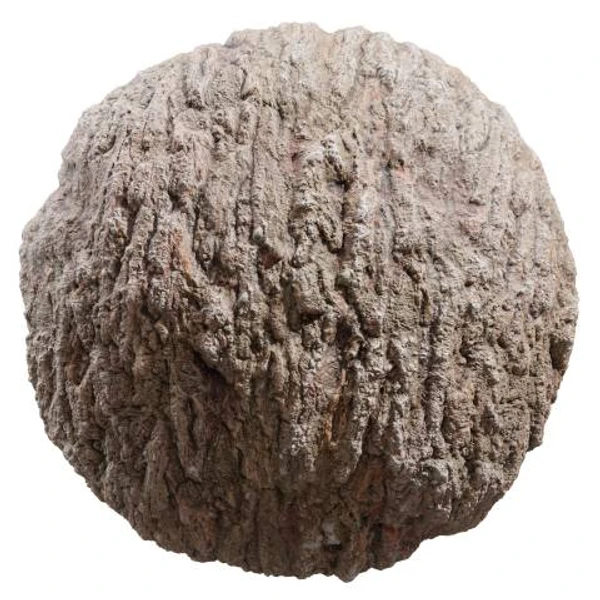 Bark 02