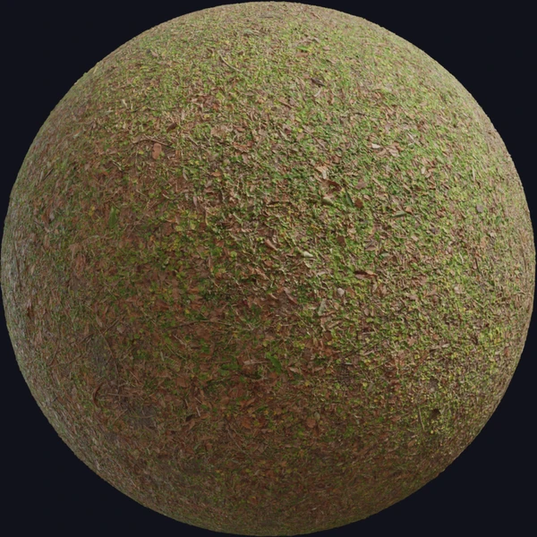 Leafy Grass - Floor - PBR texture - from Poly Haven