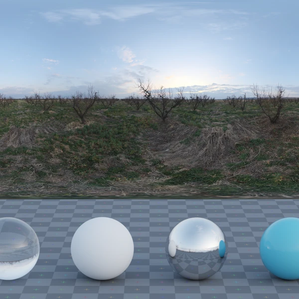 Winter Orchard - HDRI map - from Poly Haven