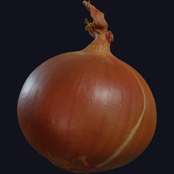 Yellow Onion - 3D Models - 3D model - from Poly Haven