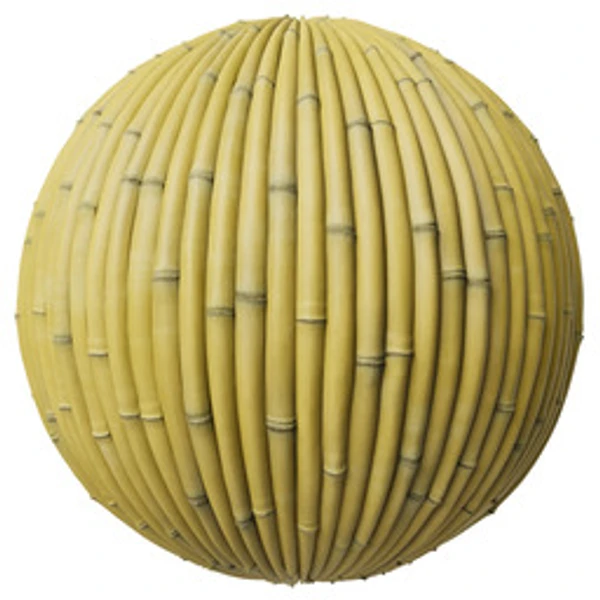 Bamboo 001B