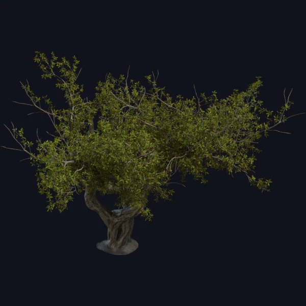 Island Tree 02 - 3D Models - 3D model - from Poly Haven